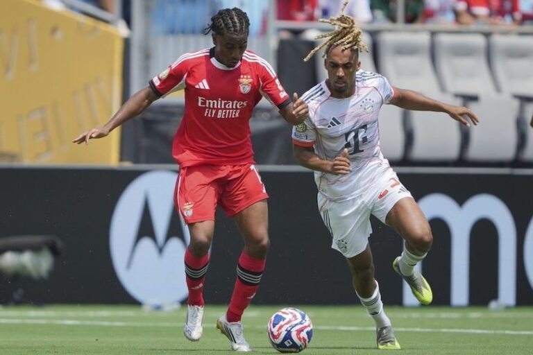 library_upload_21_2025_06_996x664_ap25175689932945_3bcfb96